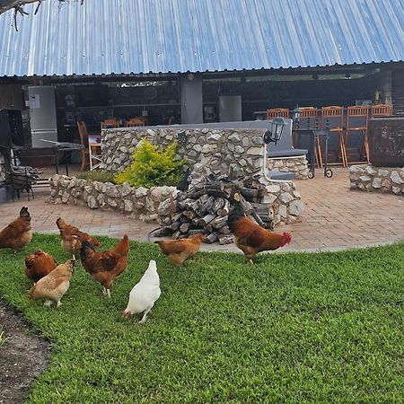 Tamboti Farm Accommodation Tsumeb Ngoại thất bức ảnh