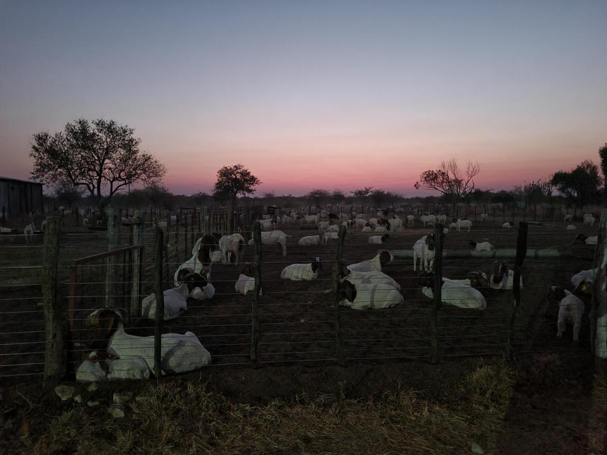 Tamboti Farm Accommodation Tsumeb Ngoại thất bức ảnh