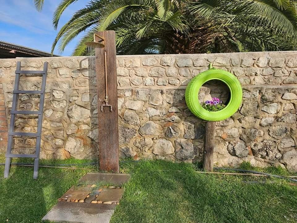 Tamboti Farm Accommodation Tsumeb Ngoại thất bức ảnh