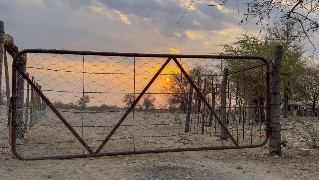 Tamboti Farm Accommodation Tsumeb Ngoại thất bức ảnh